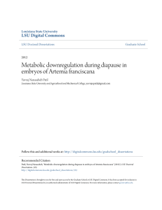 Metabolic downregulation during diapause in embryos of Artemia
