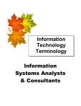 Information Technology Terminology Information Systems Analysts