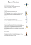 Dynamic Stretches