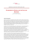 Environmental Sensing and the Cellular Response