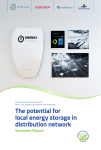 Potential for local energy storage