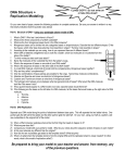 DNA Replication Modeling