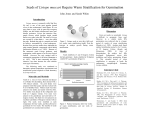 poster example liriope