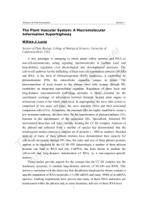 The Plant Vascular System: A Macromolecular Information