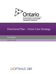 Directional Plan – Vision Care Strategy