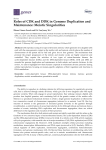 Roles of CDK and DDK in Genome Duplication and