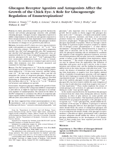 Glucagon Receptor Agonists and Antagonists