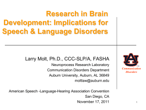 Research in Brain Development: Implications for Speech