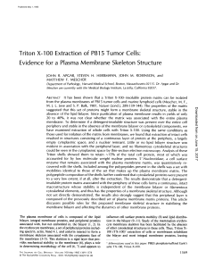 Triton X-100 Extraction of P815 Tumor Cells