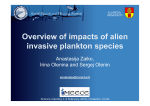 Overview of impacts of alien invasive plankton species
