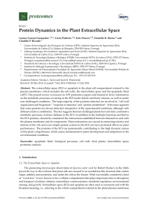 Protein Dynamics in the Plant Extracellular Space