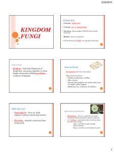 KINGDOM PROTISTA