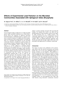 Effects of Experimental Lead Pollution on the Microbial