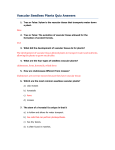 Vascular Seedless Plants Quiz Answers