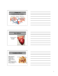 Cardiovascular System notes