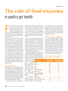 The role of feed enzymes in poultry gut health