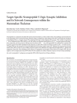 Target-Specific Neuropeptide Y-Ergic Synaptic Inhibition and Its