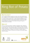 Ring rot of potato