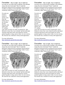 Document (four per page)