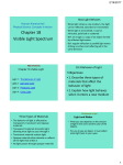 Chapter 18 The Light Spectrum