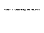 Chapter 44 Gas Exchange and Circulation