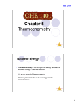 Chapter 5 Thermochemistry