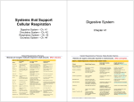 Systems that Support Cellular Respiration Digestive System