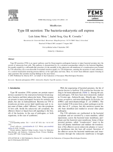 Type III secretion: The bacteria-eukaryotic cell