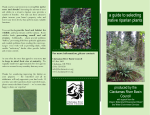 Trees and shrubs - Clackamas River Basin Council