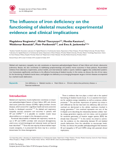 The influence of iron deficiency on the functioning of skeletal