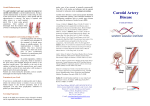 Carotid Artery Disease