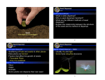 Seed Dispersal and Germination