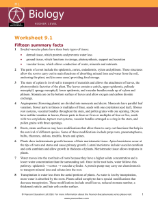 Worksheet 9.1 - contentextra