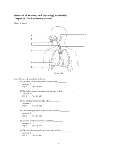 Essentials of Anatomy and Physiology, 9e (Marieb)