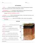 Soil Vocabulary Examples—bacteria, mushrooms, worms