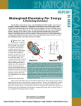 Bioinspired Chemistry For Energy