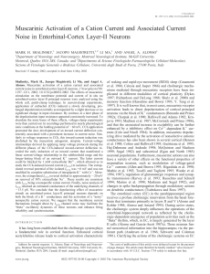 Muscarinic Activation of a Cation Current and Associated Current