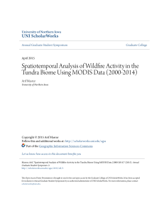 Spatiotemporal Analysis of Wildfire Activity in the Tundra Biome