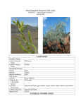 Draft Plant Propagation Protocol