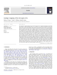 Icarus Geologic mapping of the Zal region of Io