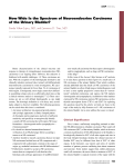 How Wide Is the Spectrum of Neuroendocrine Carcinoma of the