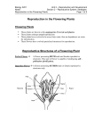 Reproduction in the Flowering Plants Reproductive Structures of a