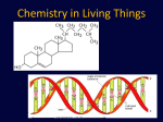 Chemistry in Living Things - Mercer Island School District