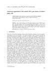 Structural organization of the transfer RNA gene clusters of cholera