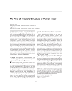 The Role of Temporal Structure in Human Vision