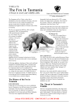 The Fox in Tasmania - Tasmania Parks and Wildlife Service