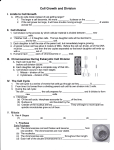 Mitosis handout (front) - Campbell County Schools
