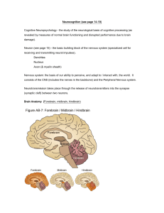 Kellogg Chapter 1. Introduction (Neurological structures)