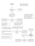 stellar evolution the flowchart of start