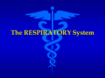 The RESPIRATORY System